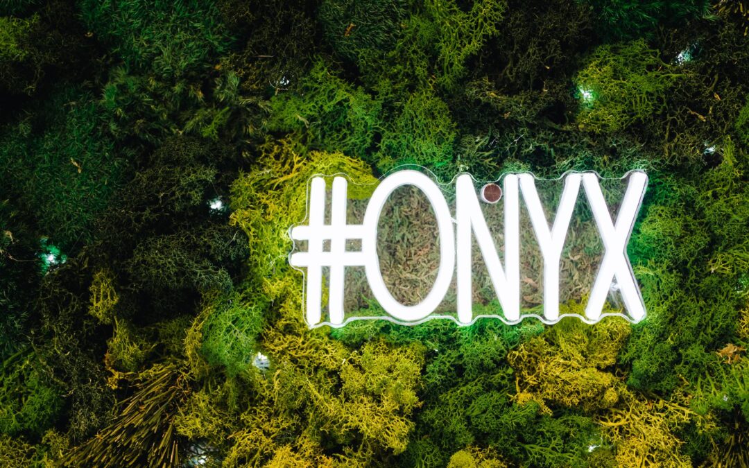 Safely Erase Sun Damage and Dark Spots at Onyx Beauty Lab